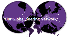 fiberring-global peering network 2